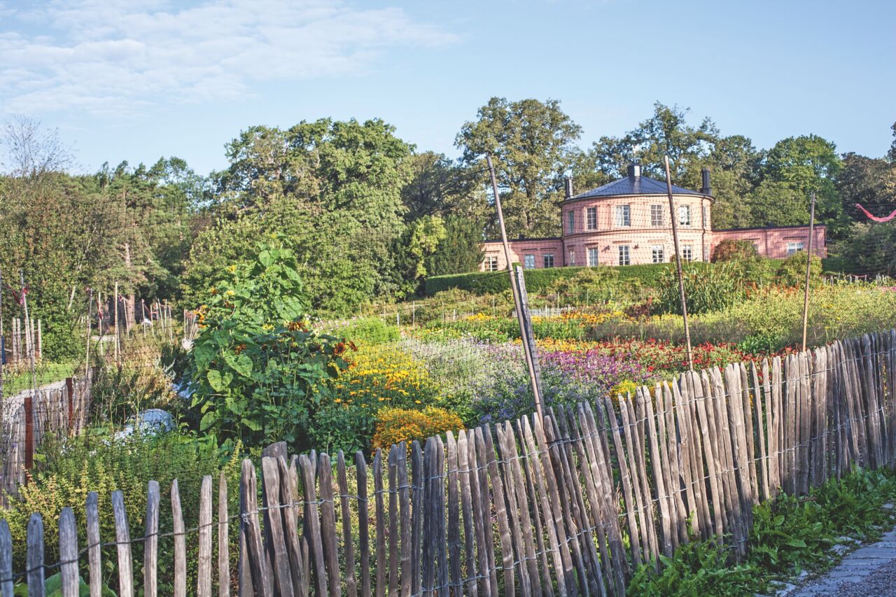 Das Experiment von Rosendal, Stockholm