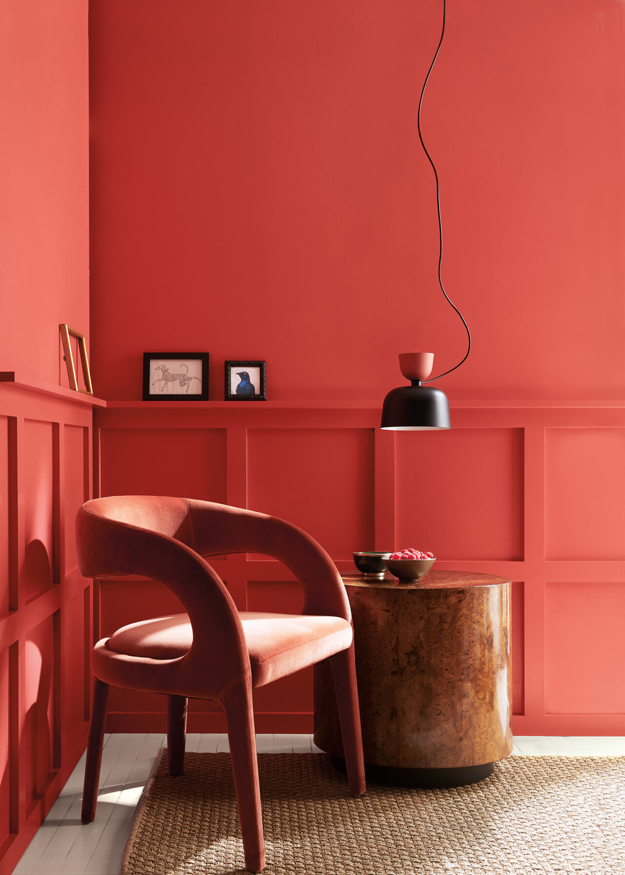 Rasperry Blush | Color of the Year 2023 | Benjamin Moore
