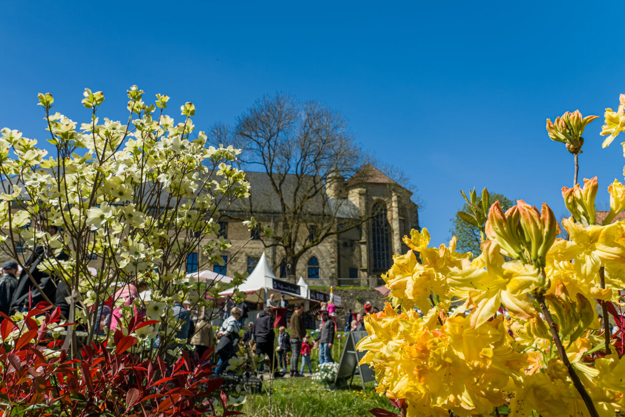 Gartenfest Dalheim (2)