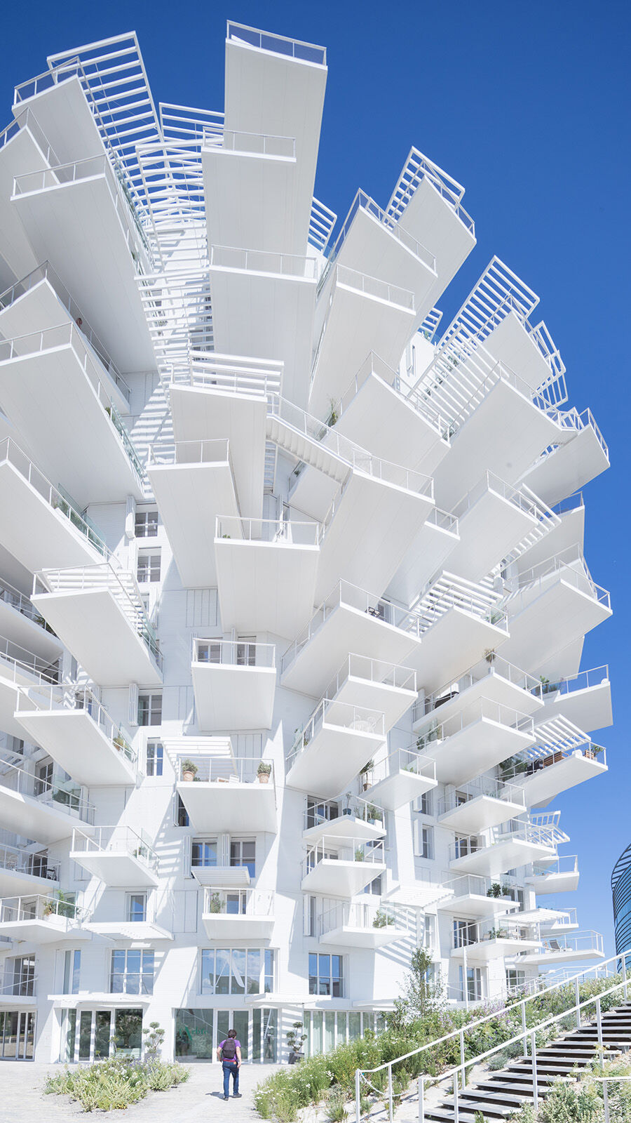 L'Arbre Blanc in Montpeiller von Sou Fujimoto