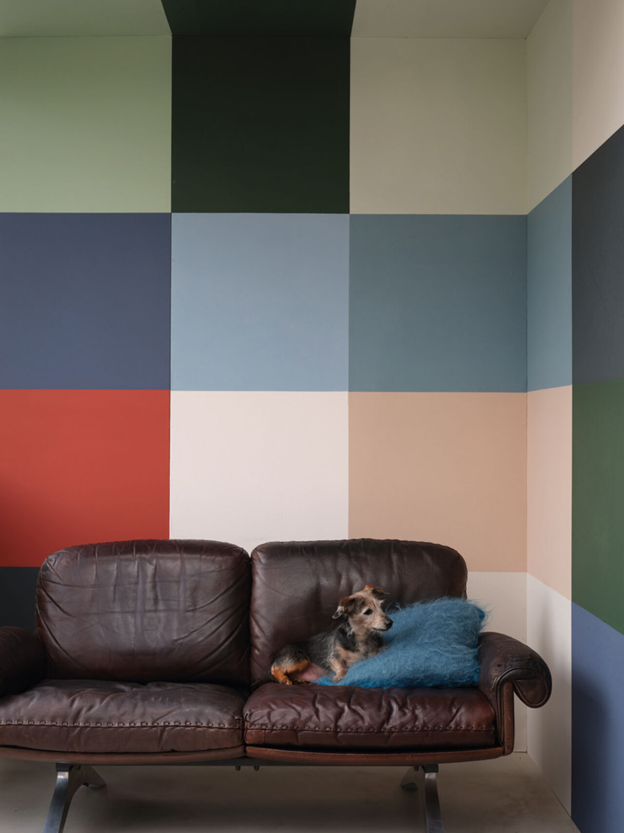 11 Colors of the Year 2023 Farrow & Ball