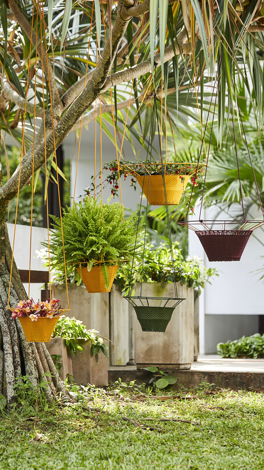 cristina-celestino-ames-dichas-hanging-planters