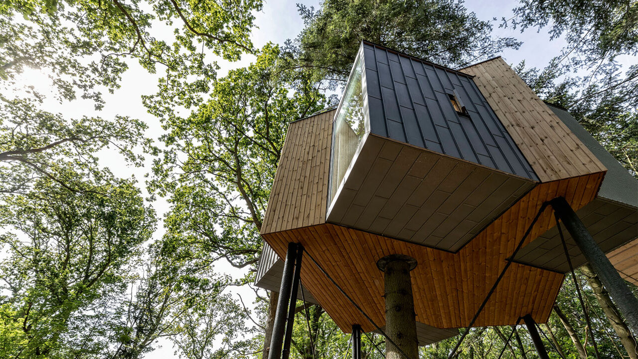 Løvtag Treetop Cabins in Dänemark, Entwurf von Architekt Sigurd Larsen