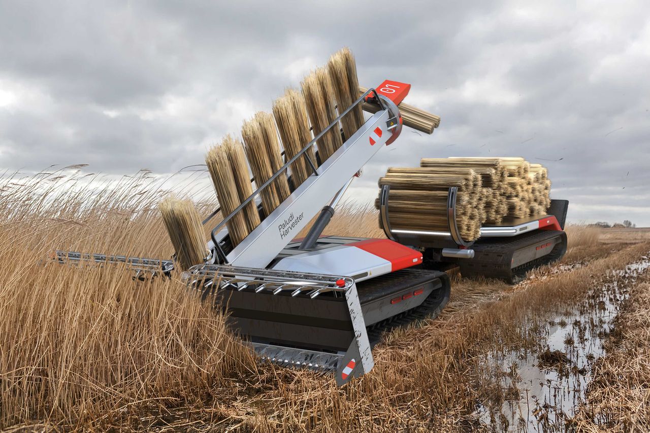 Niklas Henning - Paludi Harvesters (3)