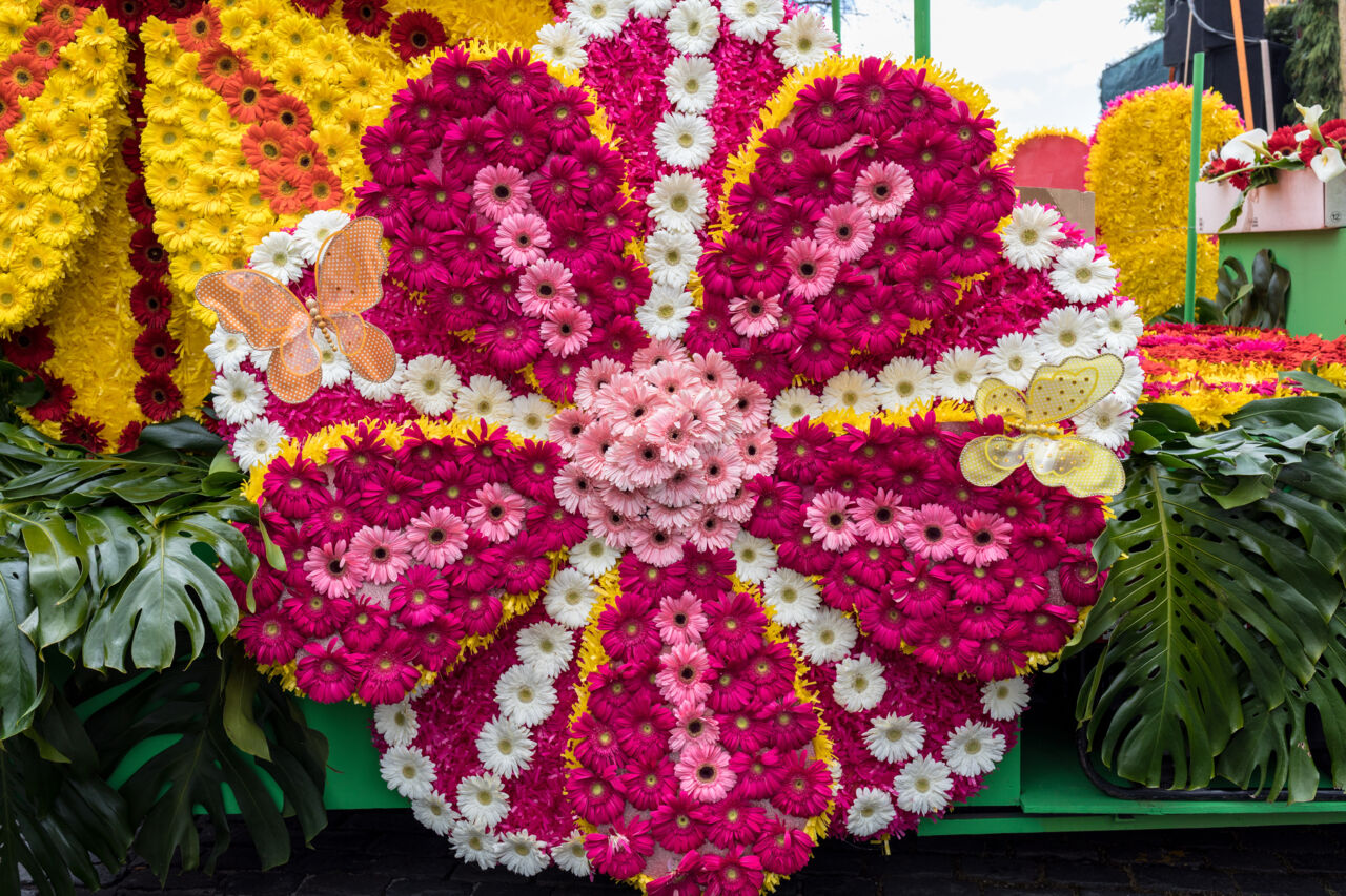 Festa de Flor Gartenfestival in Funchal,Madeira 
