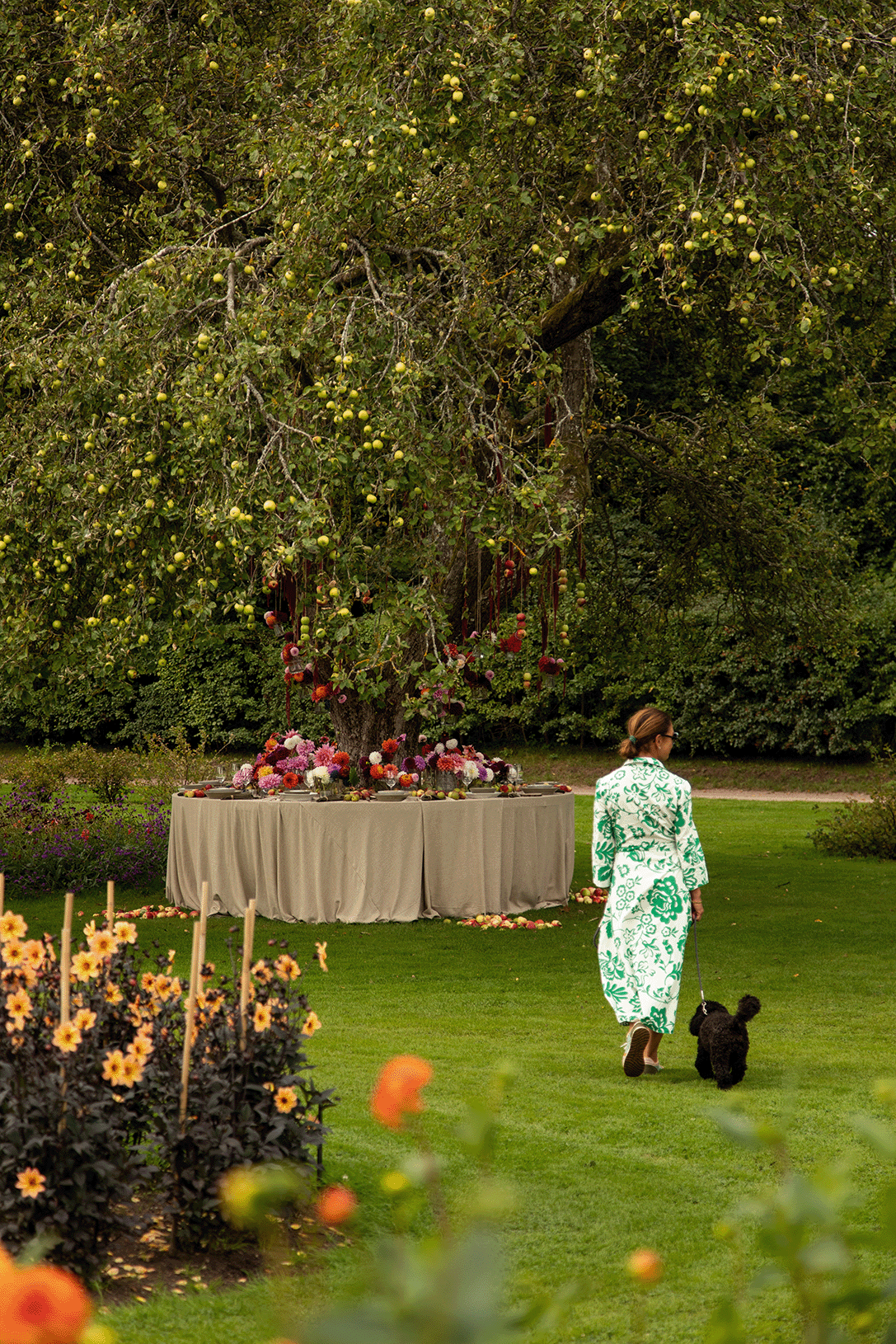 Frau mit Hund auf trädgårdsfesten in Helsingborg