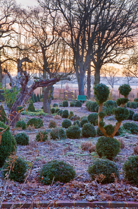 outdoor-wuestenblumen-im-winter