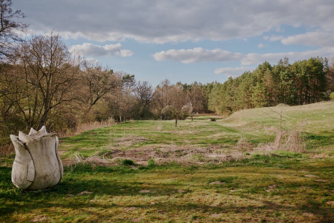 Surroundings
