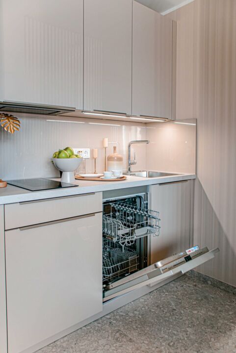 Spülmaschine in Küche in Ferienwohnung