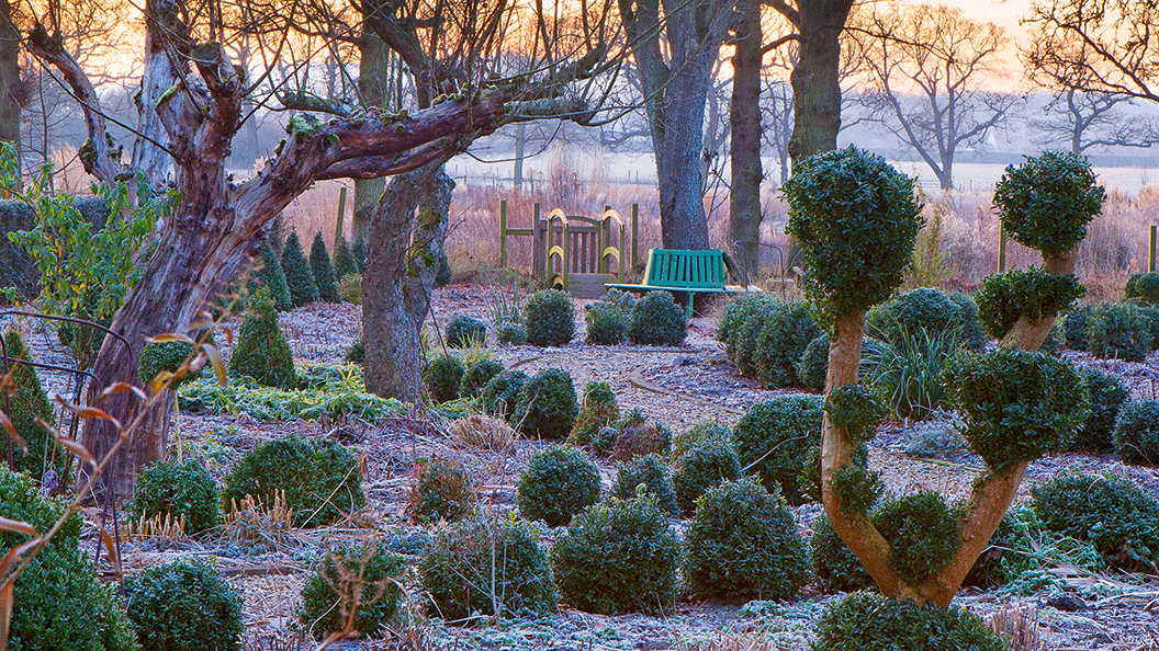 outdoor-wuestenblumen-im-winter