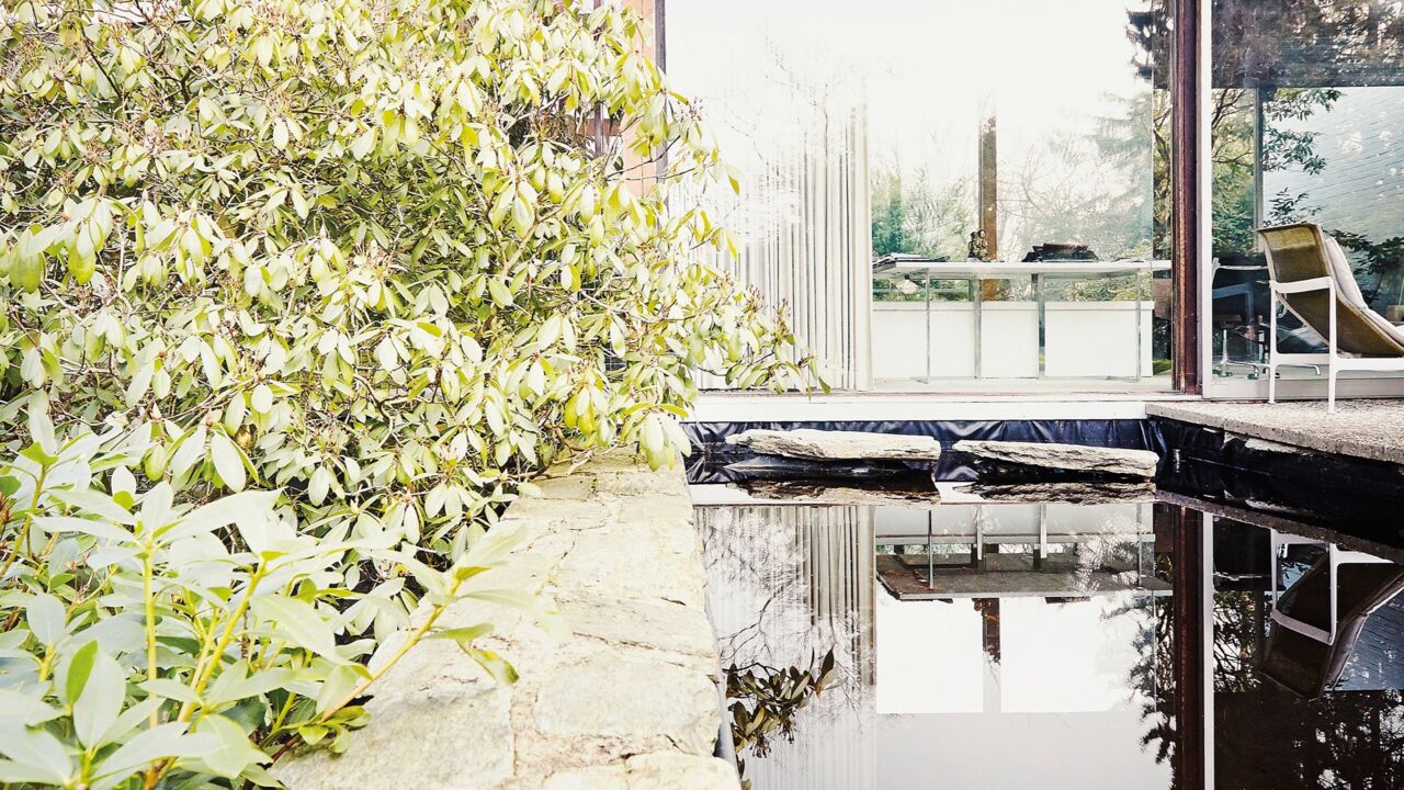 AW Neutra_MG_5014 2