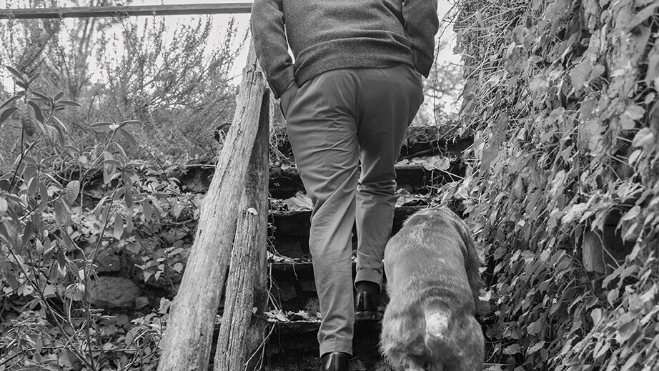 michele-de-lucchi-hund