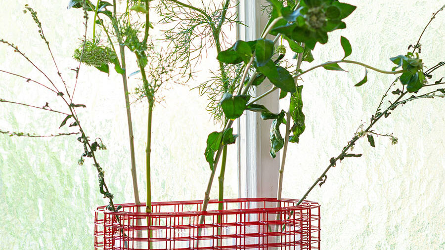 juengerkuehn_rise_vase_03