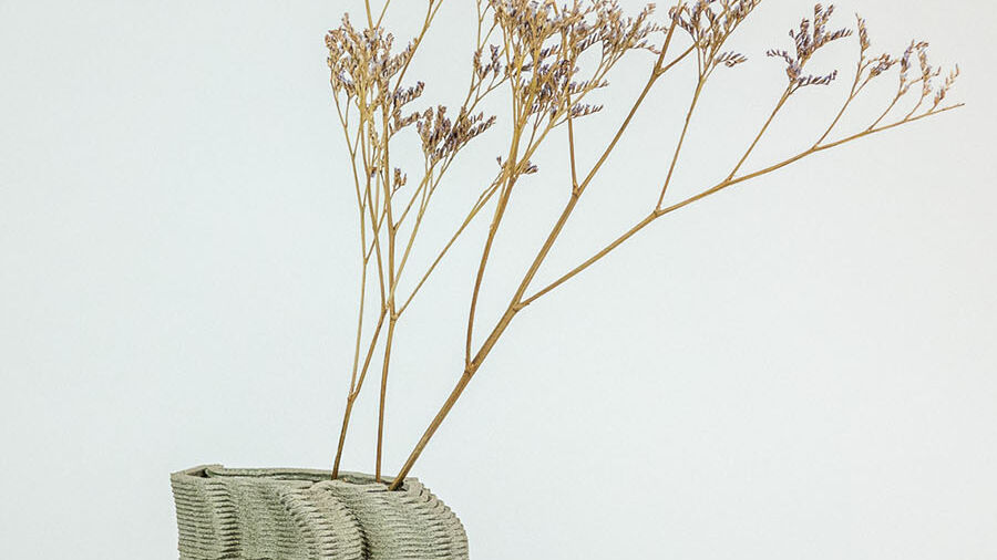 Tannen Vase von Migration of Matter