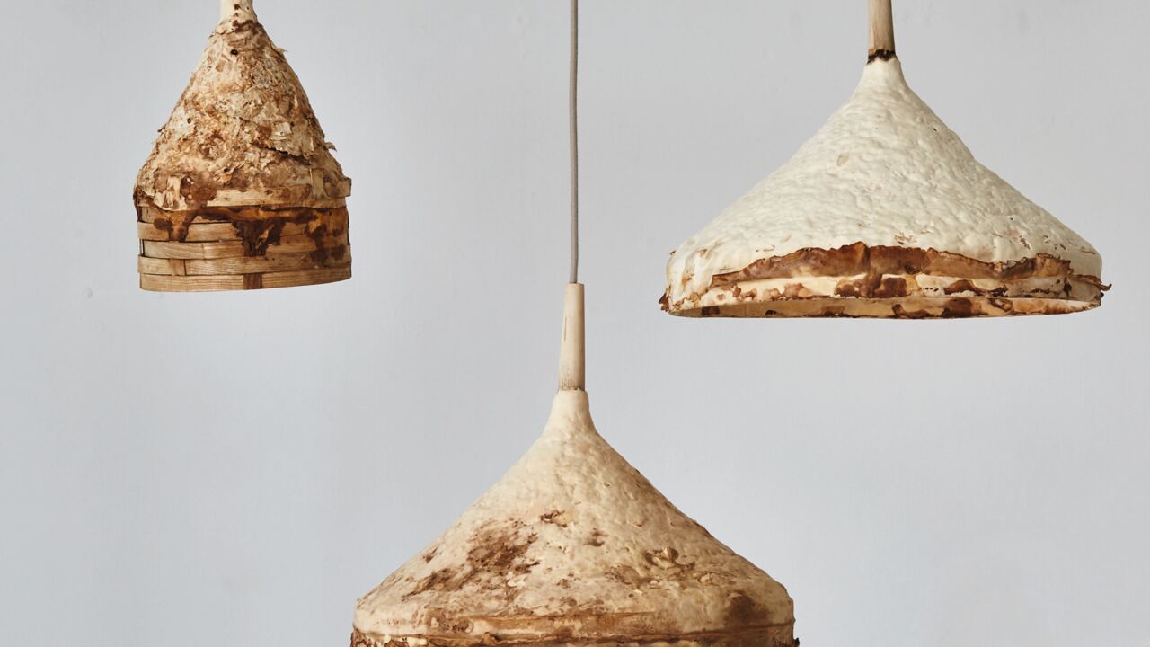Sebastian Cox_Ninela Ivanova_Mycelium Hängeleuchten