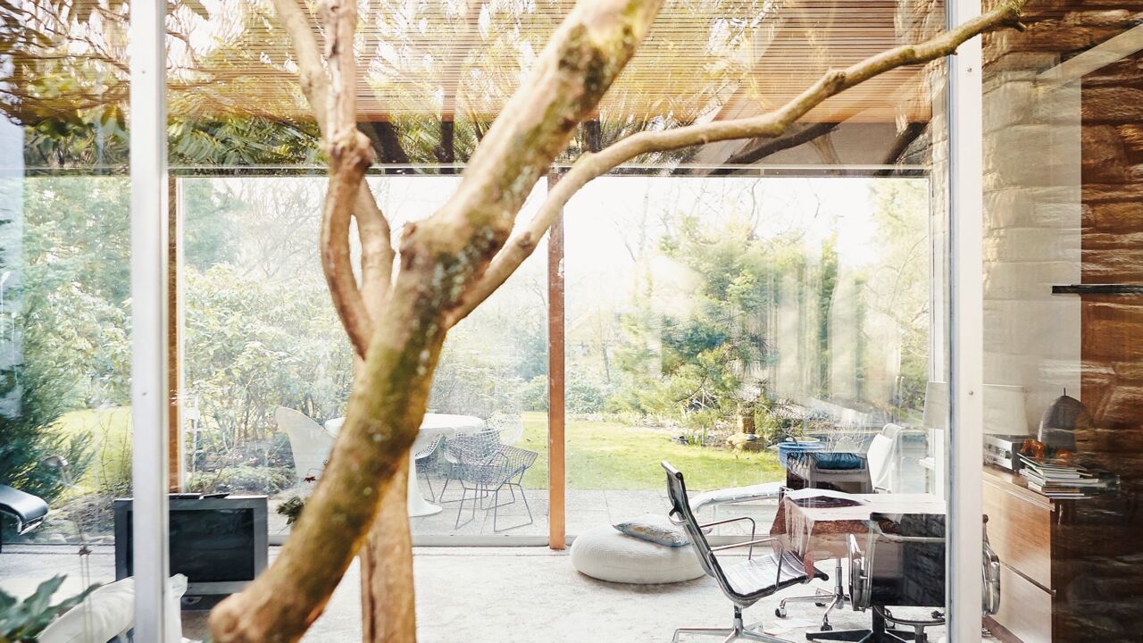 AW NEUTRA_MG_5092 1
