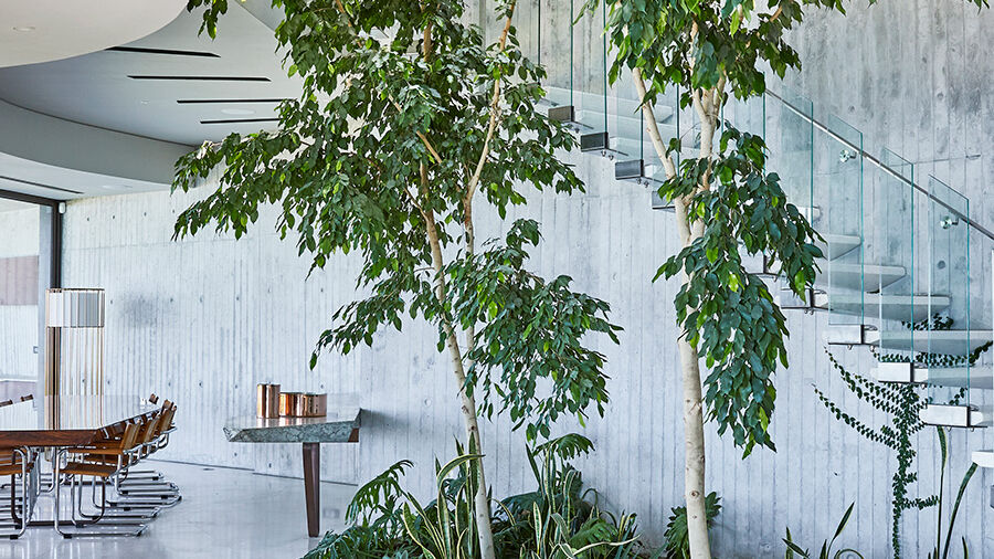 john-lautner-villa-kapstadt-bureaux-house-pengilly-20