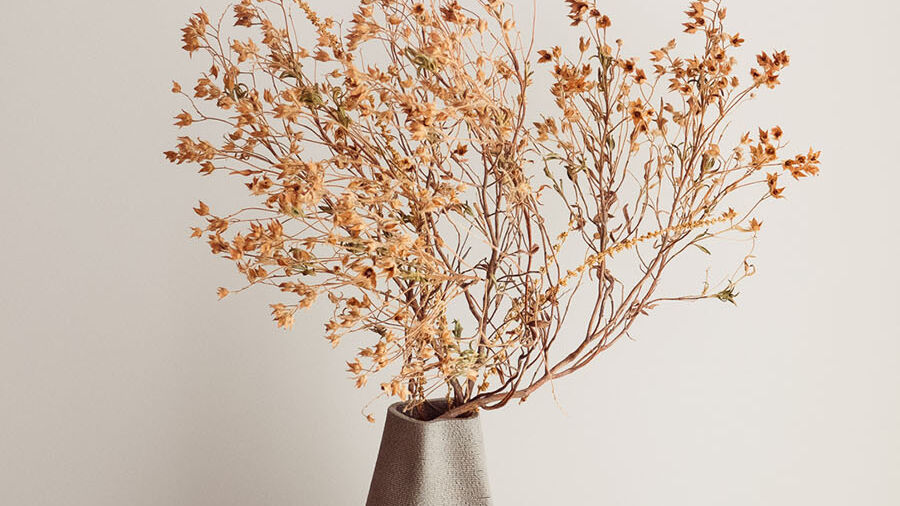 Andes Vase von Migration of Matter
