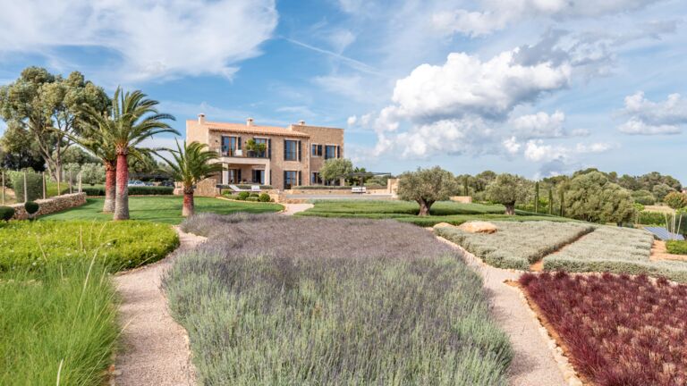 An die Poolterrasse von Son Berga schließen sich organisch geformte Pflanzbeete an, in die Andreas Max Kellner eine großzügige Anzahl von Stauden setzte, darunter stark duftender Französischer Lavendel, rot leuchtendes Lampenputzergras und Afrikanisches Steppengras sowie Strauchiger Gamander, der von Dezember bis April blauviolett blüht Spektakel für die Sinne