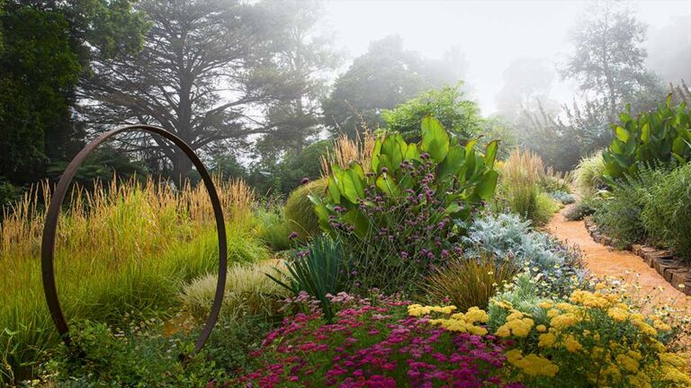 Tanz der Elemente: Niedrig wachsende Blumen bedecken den Sockel einer alten Wagenradfelge. Im Vordergrund breiten
sich Schafgarbe Cerise Queen und Hohe Goldgarbe Credo wie ein Blütenteppich aus. Dekorativ wirkt das Indische Blumenrohr mit großen, rot umrandeten Blättern. Tanz der Elemente
